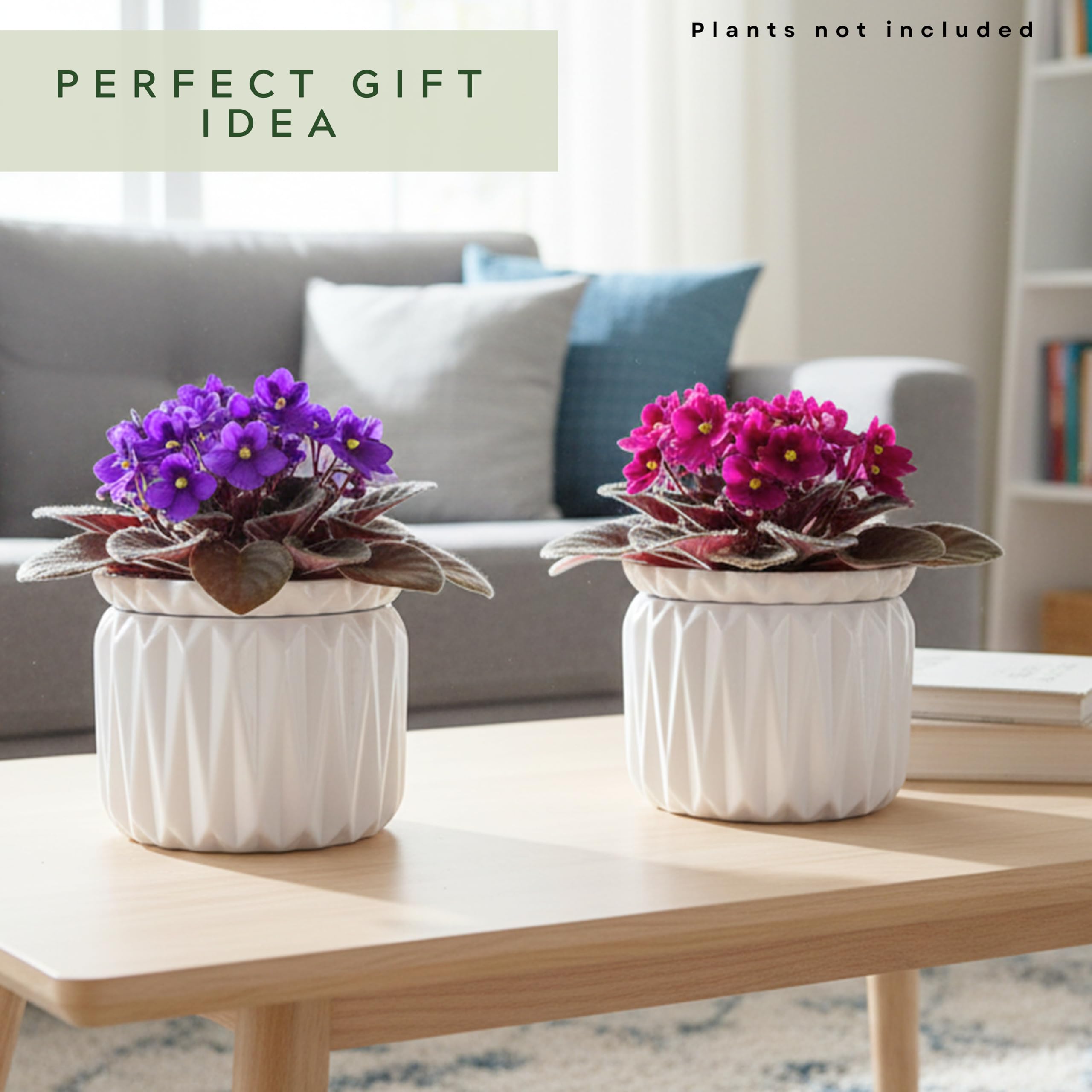 Thriving Thicket pot next to coin for scale showing compact size and gift-ready appeal