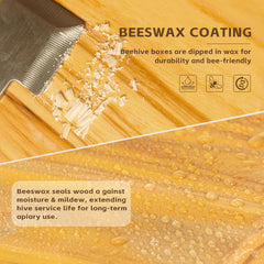 ThxBees cedar grain texture close-up showing natural wood resistance to warping and cracking