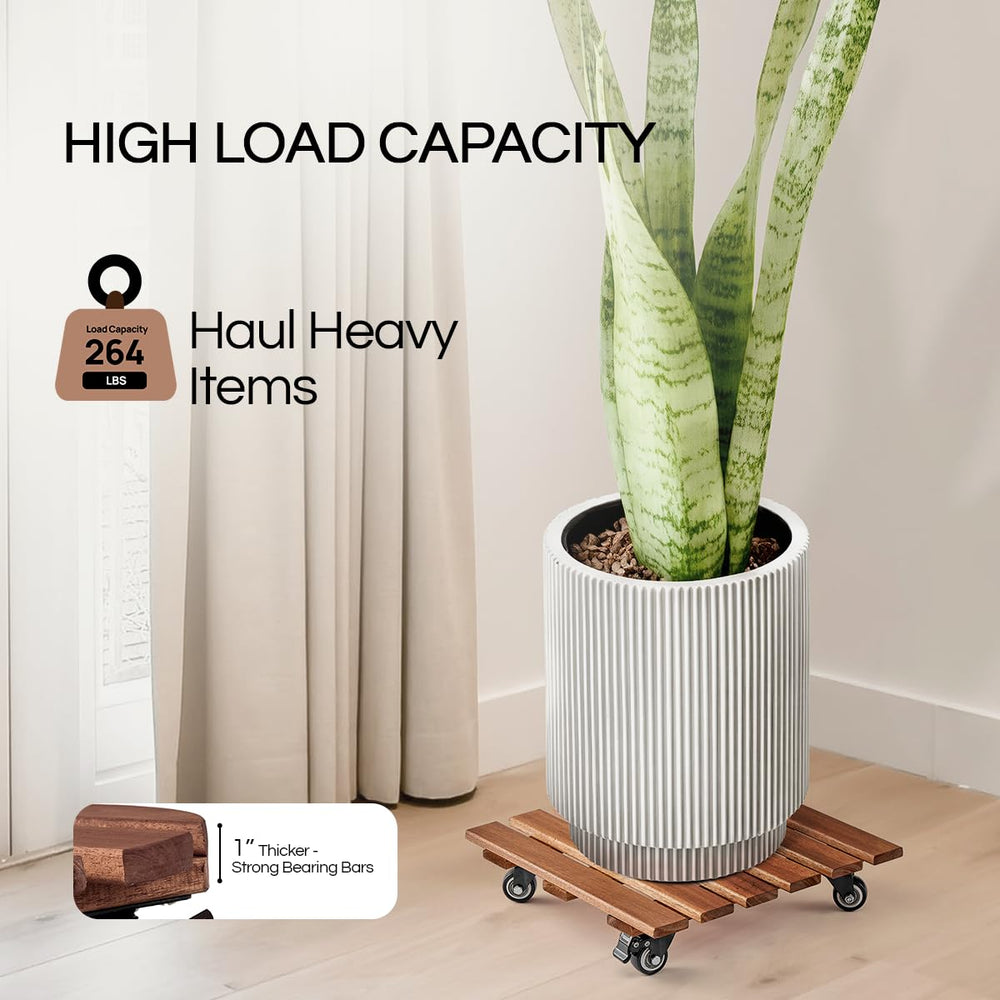 THYOI 14-inch caddy beside ruler for scale showing compact size and load capability