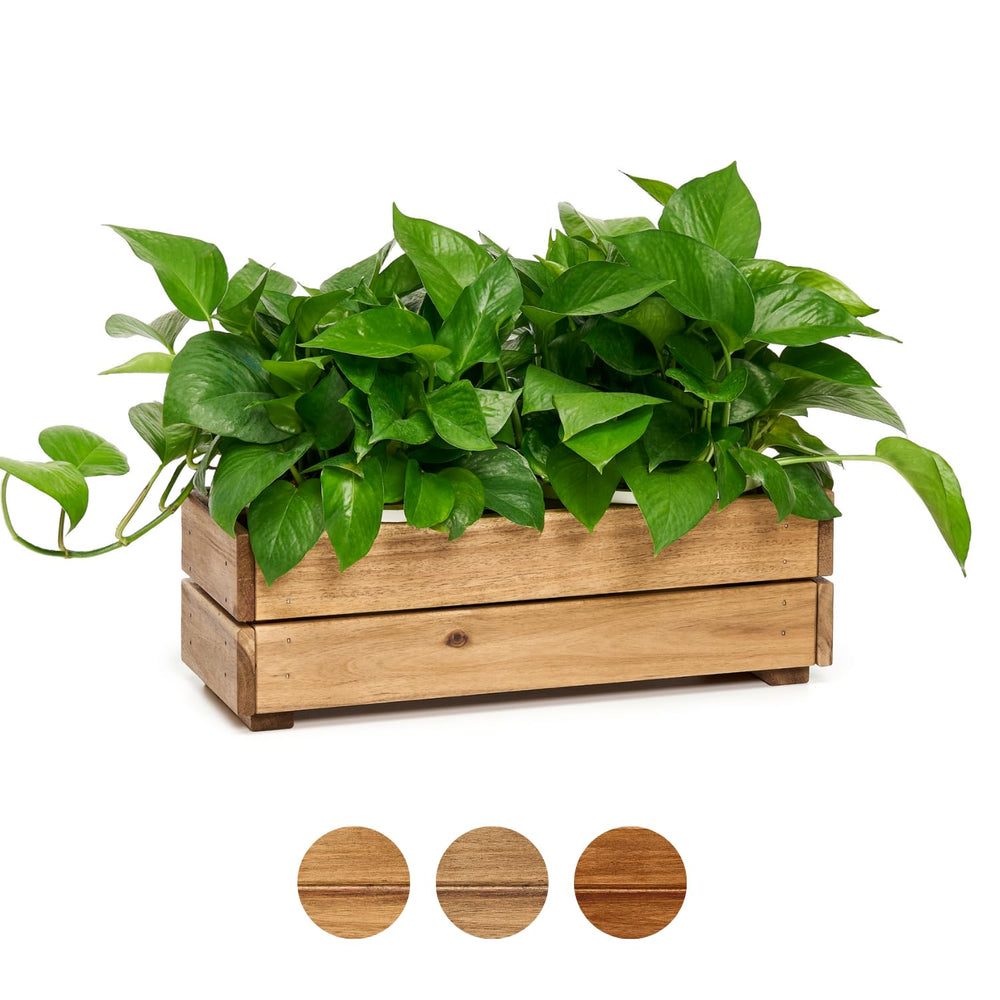 THYOI front view of golden teak planter showing neat finish and sturdy shape
