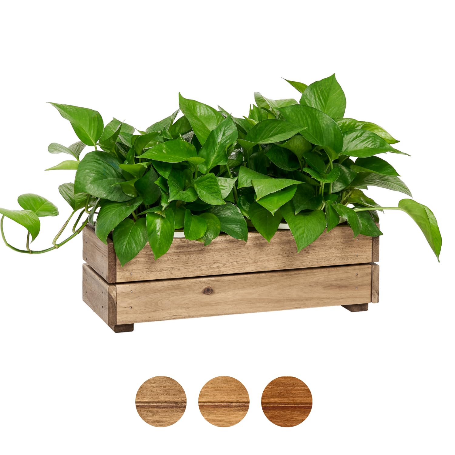 THYOI front view of wooden planter box shows rustic appeal and sturdiness