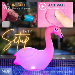 TIALLY flamingo floating in pool at dusk showing warm ambiance and color change