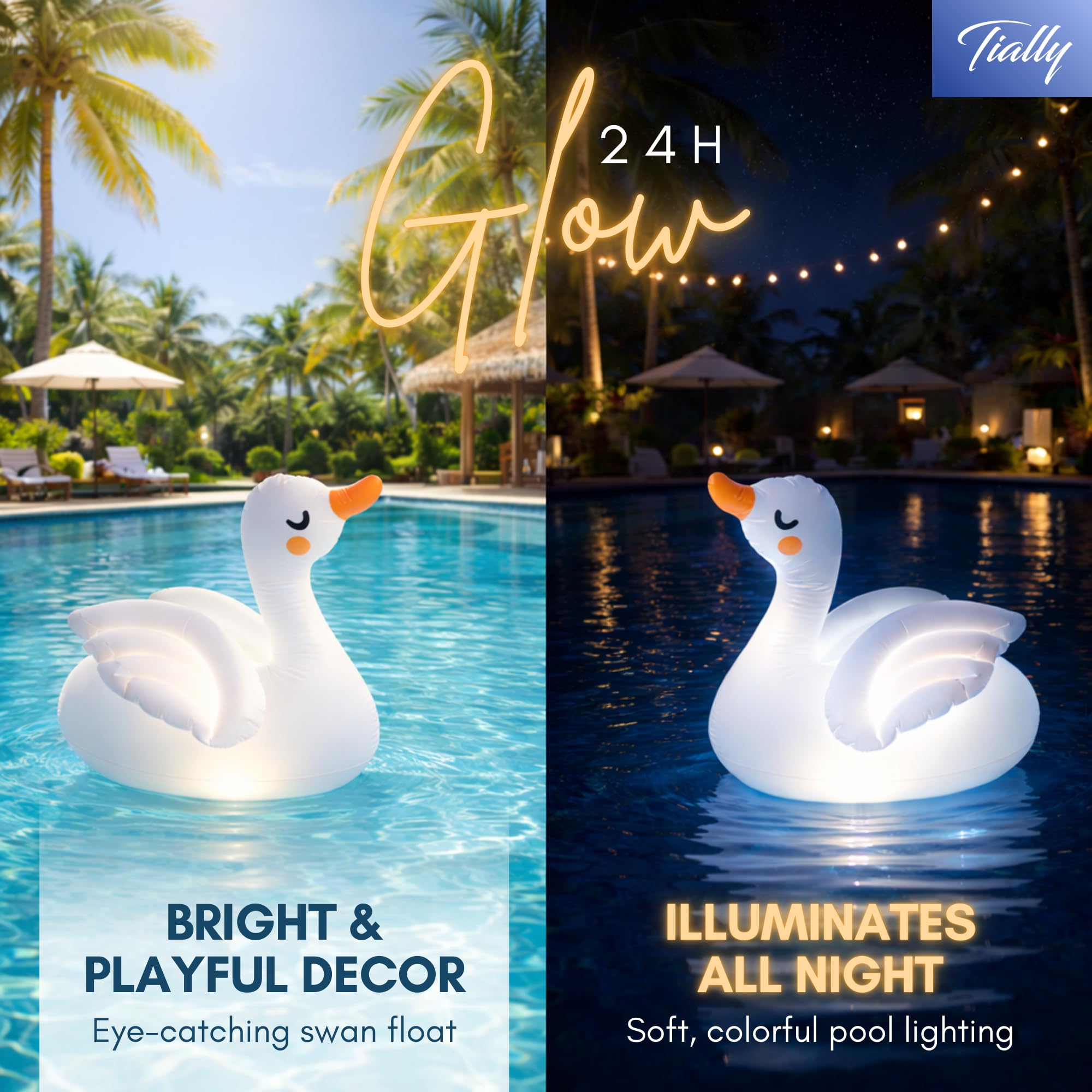 TIALLY swan floating in pool at dusk adding romantic ambient light