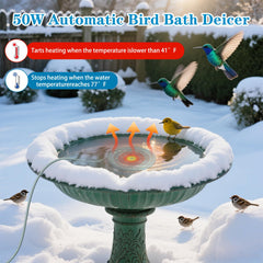 TIANCENTRAL H submerged in birdbath keeping water ice-free, reliable winter access