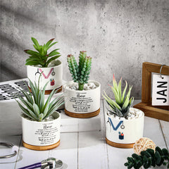 Tiangrid pot with succulent placed on bamboo tray, protects surfaces and looks tidy