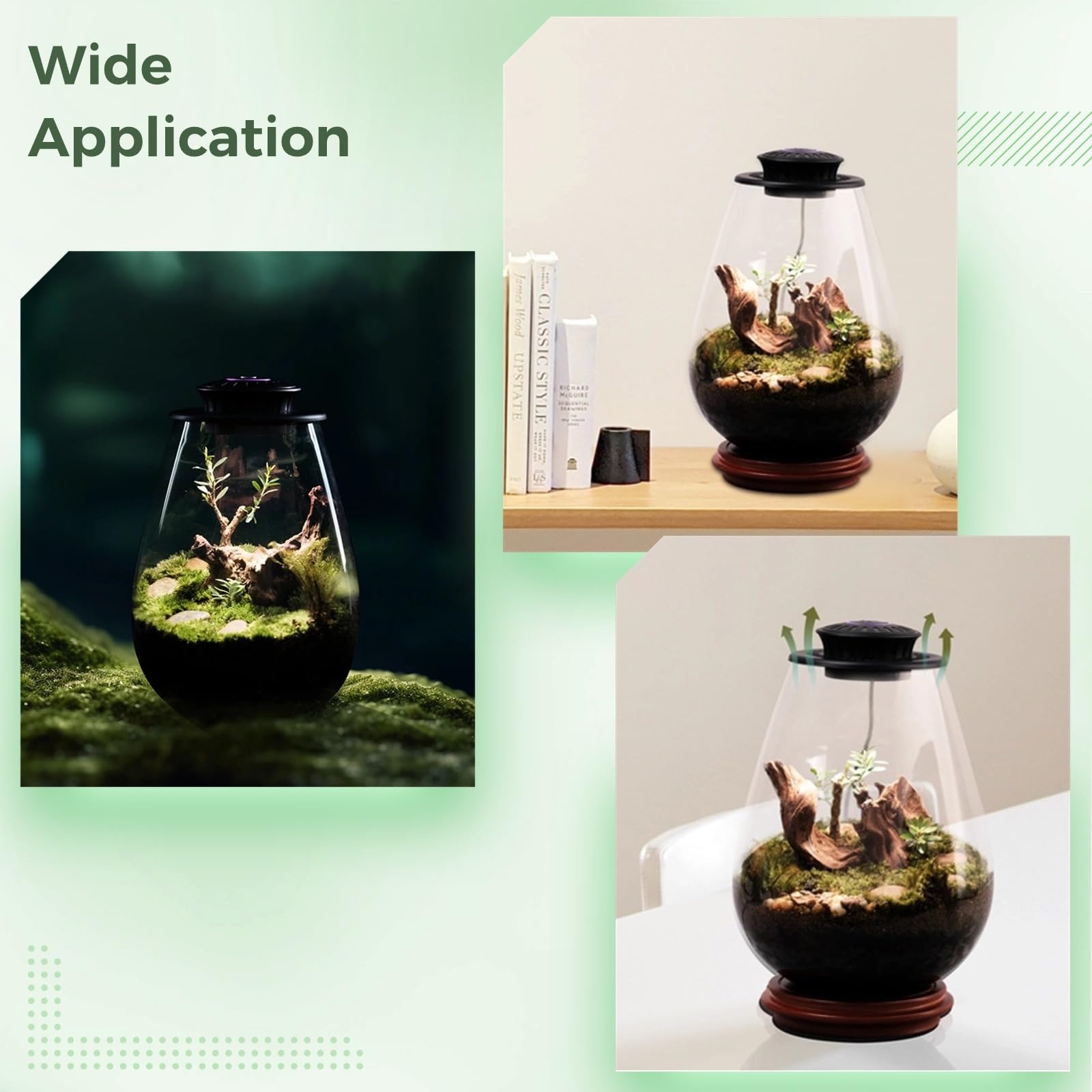 Tideme terrarium on a desk with plants showing decorative workspace benefit