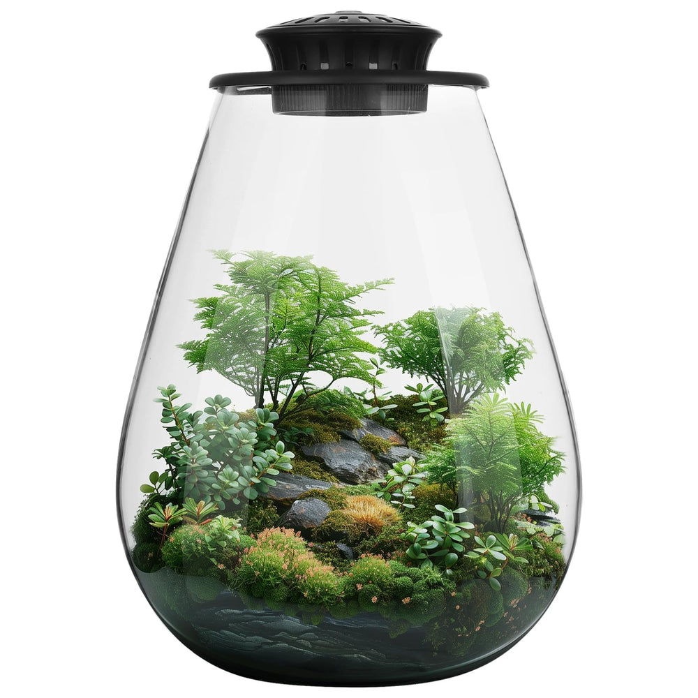 Tideme front view glass terrarium showing plants and clear design benefit visibility