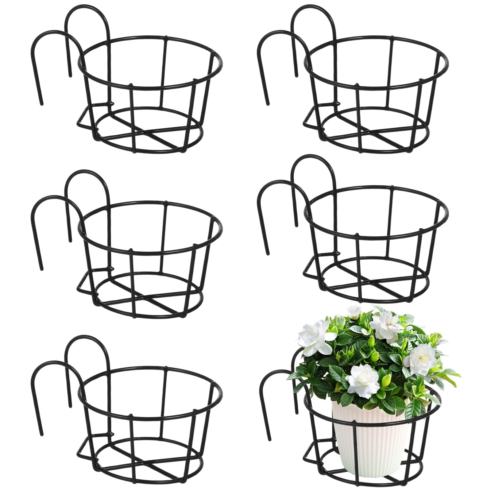 Tideme front view of six round hanging planters showing neat arrangement and curb appeal