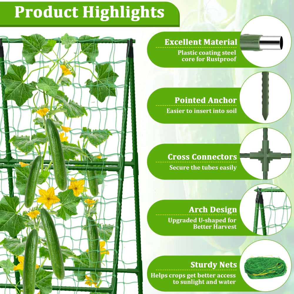 Tidponra assembled trellis in use with climbing cucumbers improving harvest access