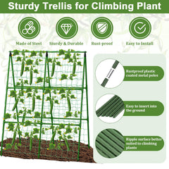 Tidponra trellis net detail showing mesh grip for vines and secure support
