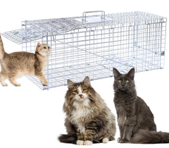 Timaze trap front view showing sturdy galvanized cage and secure door, safe capture benefit