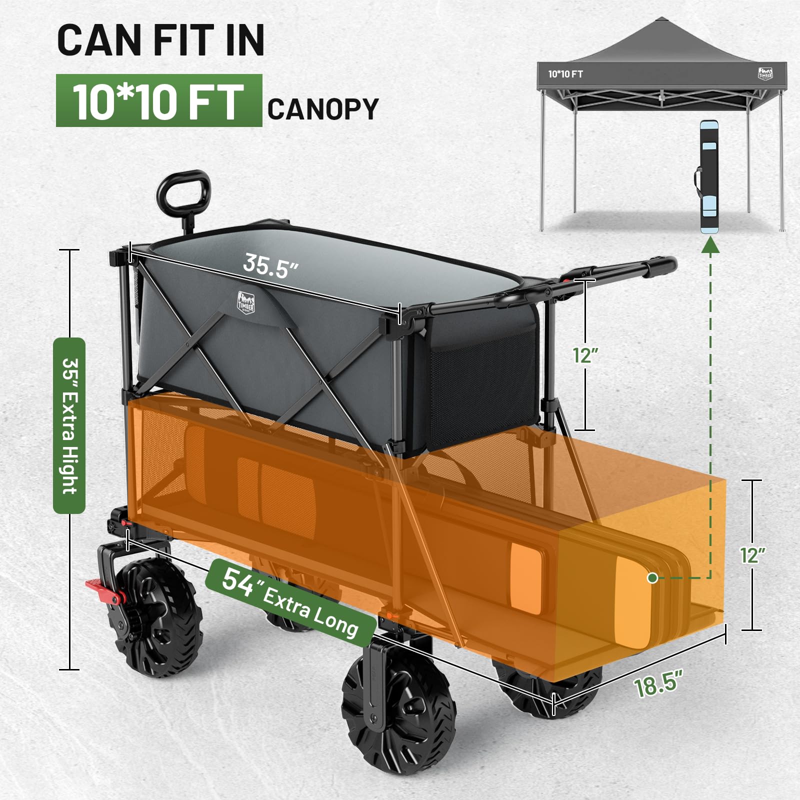 TIMBER RIDGE wagon at beach picnic showing easy maneuvering and capacity