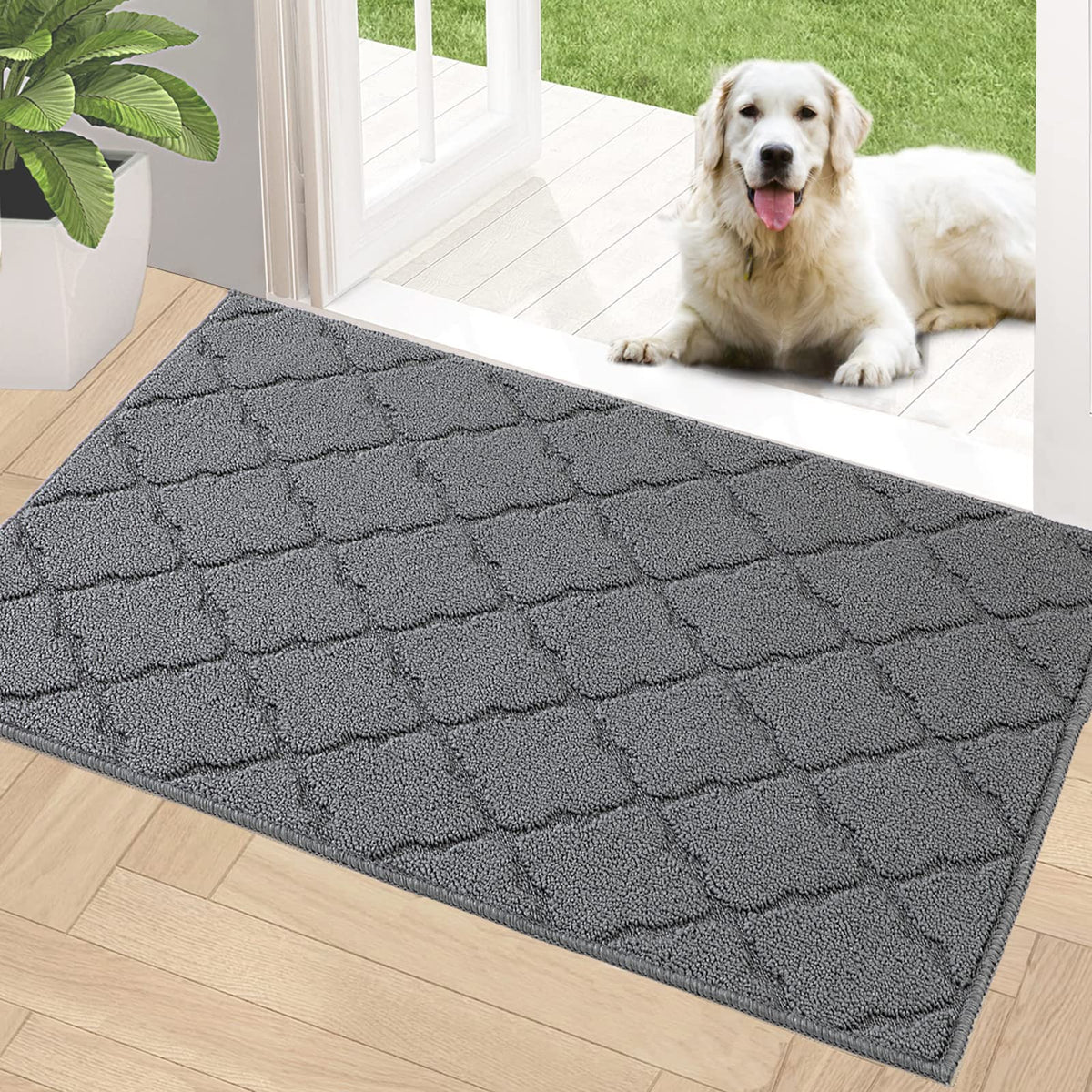 Timo front view grey mat at door protecting floors