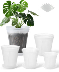 TineDew front view of clear nursery pots showing organized set and labels, simplifies plant care