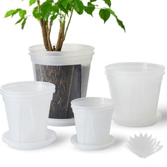 TineDew front view of clear nursery pots showing all sizes and saucers for organized planting