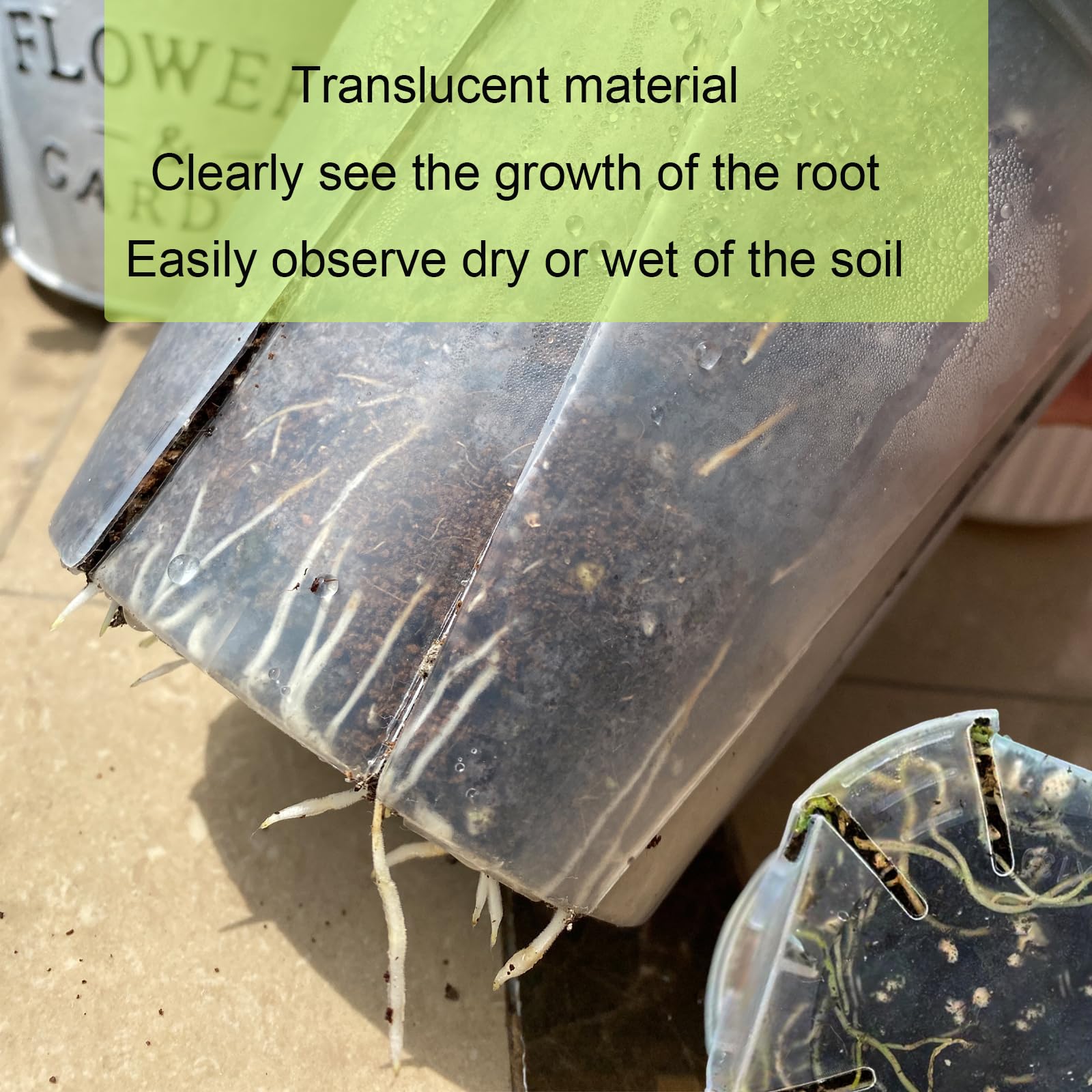 TineDew pot used repotting an orchid, demonstrates better aeration and transplant ease