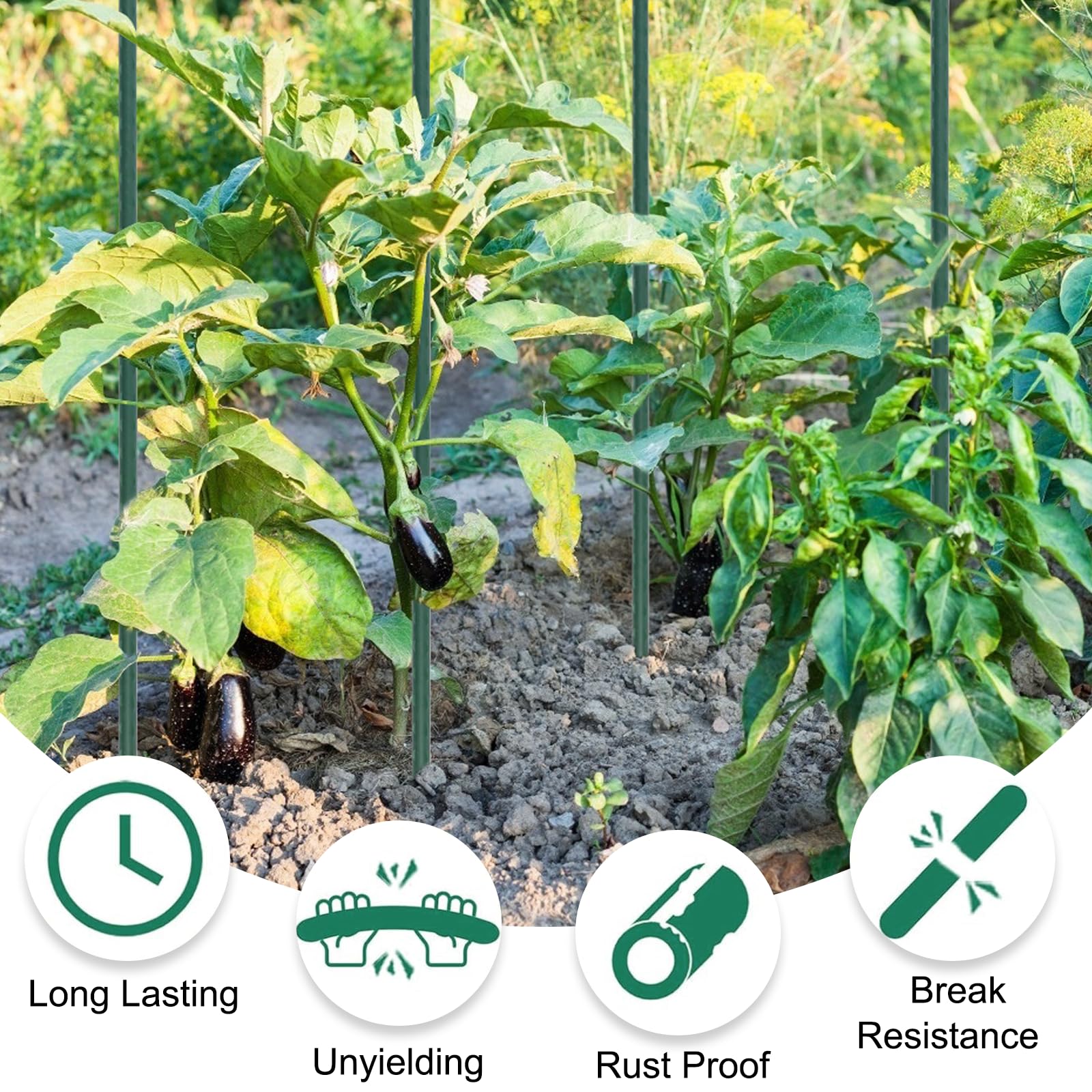 Tingyuan stakes with twine attachment demonstrating gentle plant support