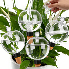 TINSKY front view of 4-pack watering globes showing capacity and compact storage benefit