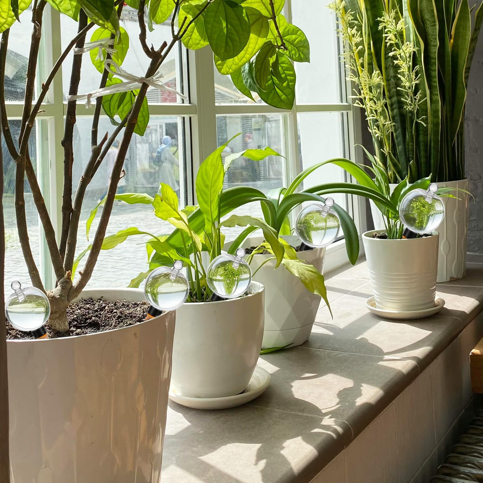 TINSKY watering globes arranged on a patio to hydrate exterior containers while away