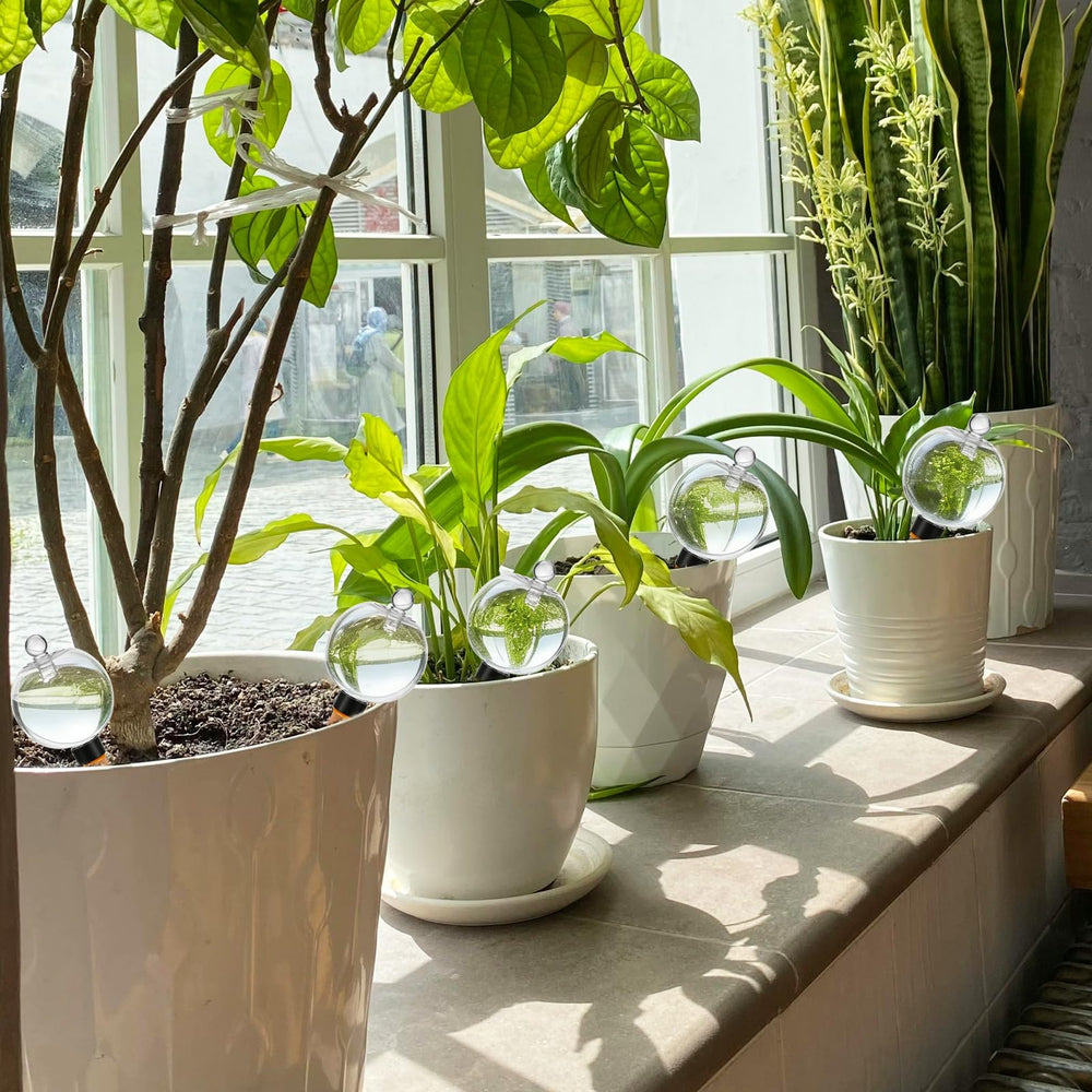 TINSKY watering globes arranged on a patio to hydrate exterior containers while away