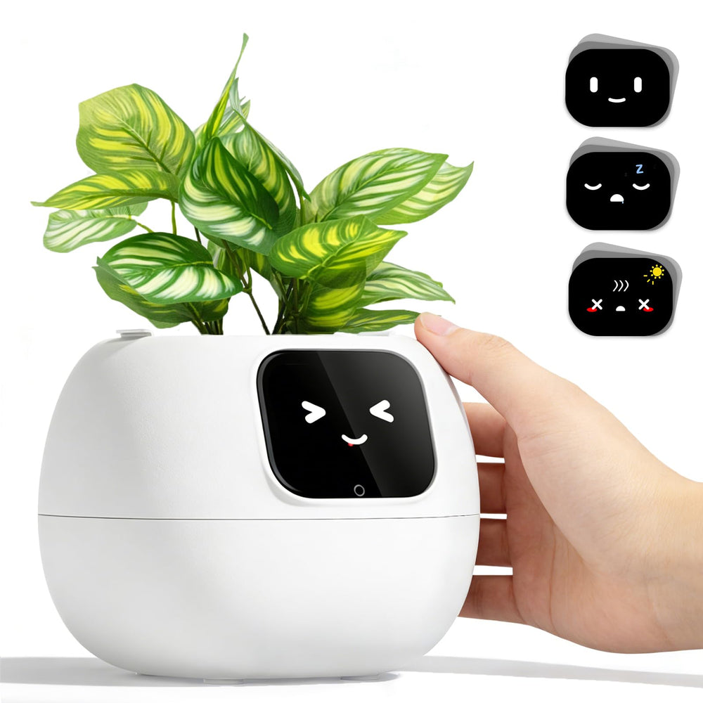 TinyShield front display showing emoticons and status for easy care