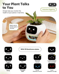 TinyShield touchscreen emoticons indicating mood and plant needs