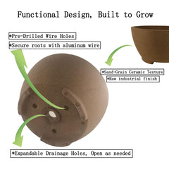 TINYVISTA view of drainage holes and wire anchors showing bonsai training features