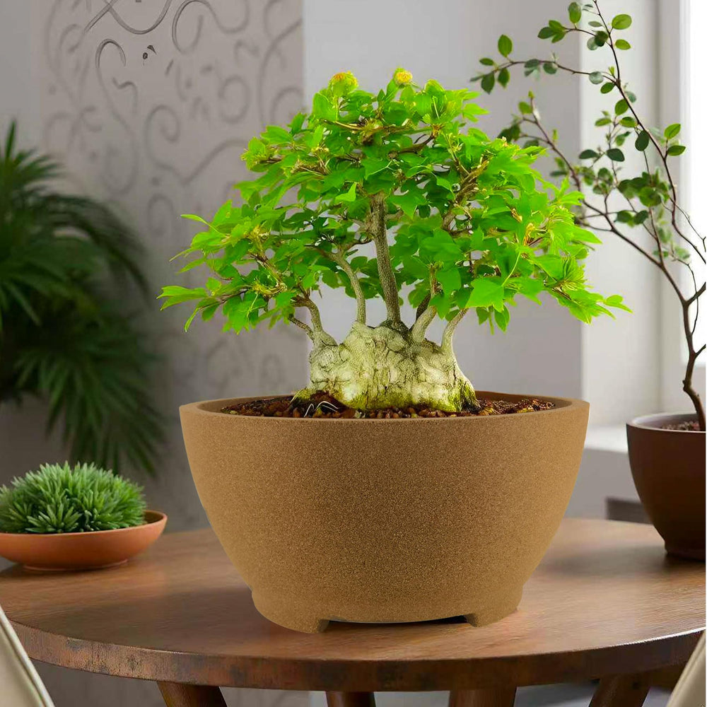 TINYVISTA pot on a shelf in a living room conveying minimalist decor compatibility