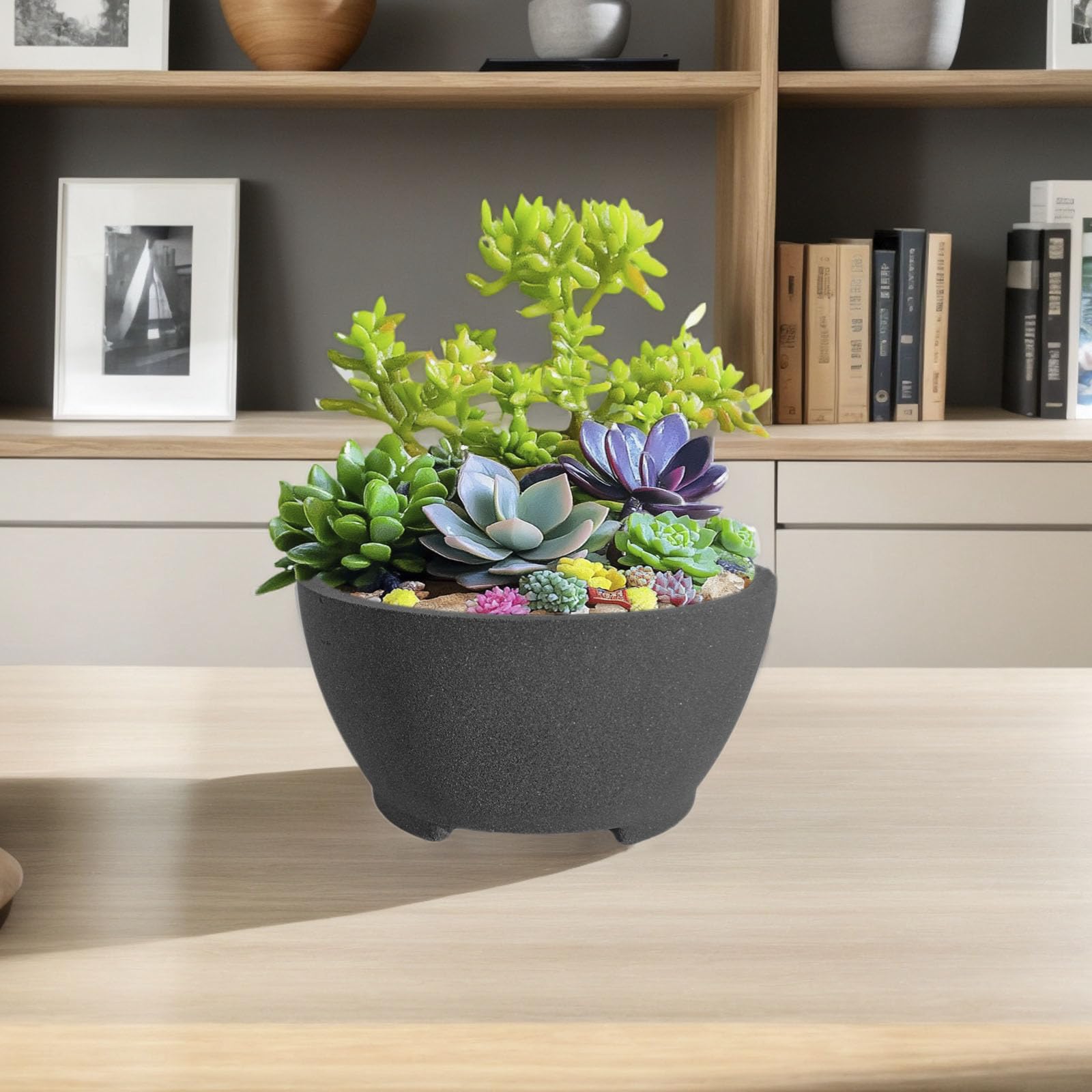 TINYVISTA on a desk with a small tree showing decorative, calming presence