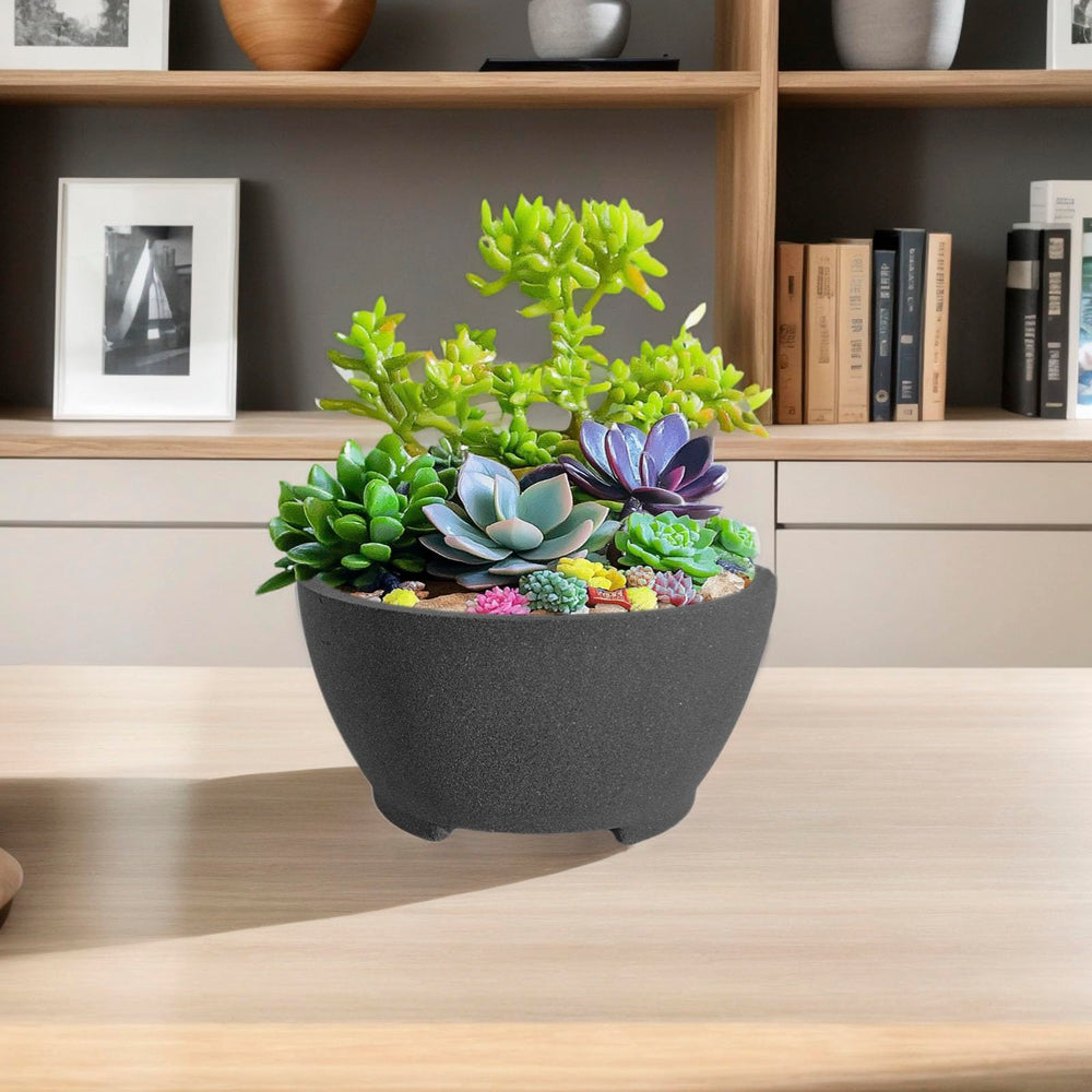 TINYVISTA on a desk with a small tree showing decorative, calming presence