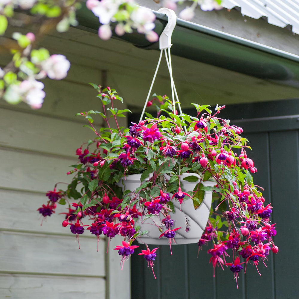 Tioncy balcony display with plants illustrating space-saving decor