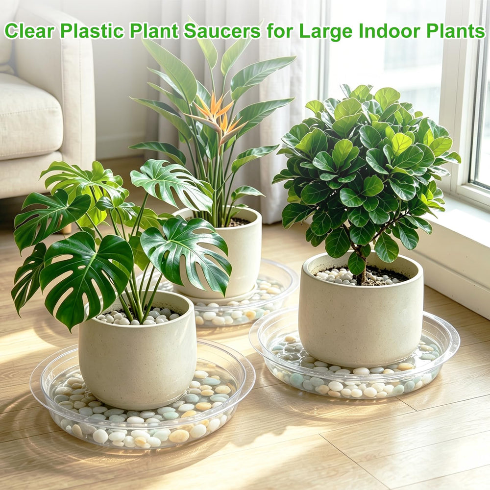 TITE saucer on balcony with plants creating tidy display