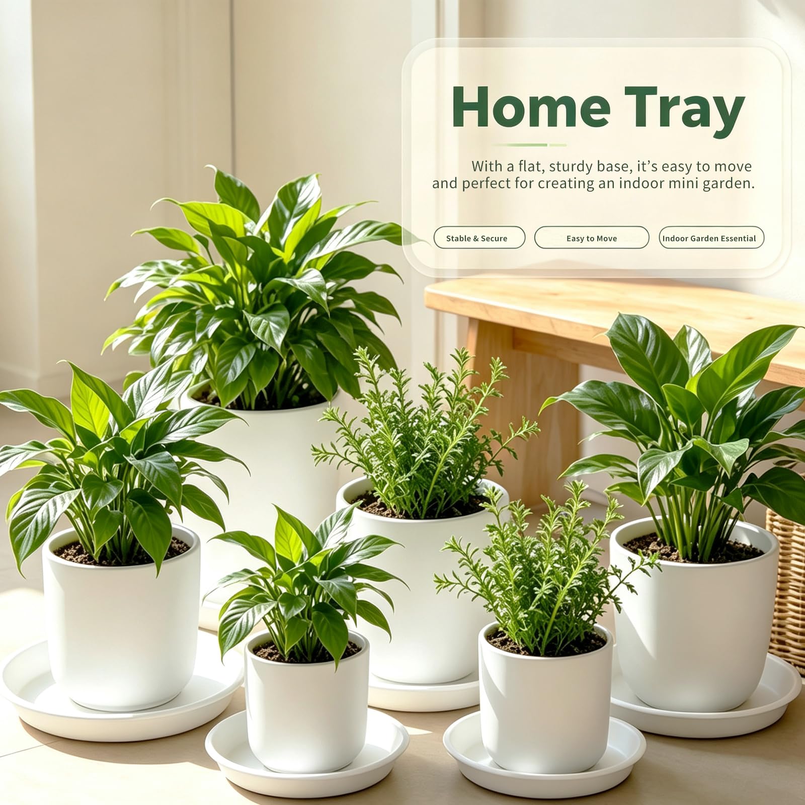 TITE saucer under indoor plant on wood floor showing floor protection benefit prevents stains