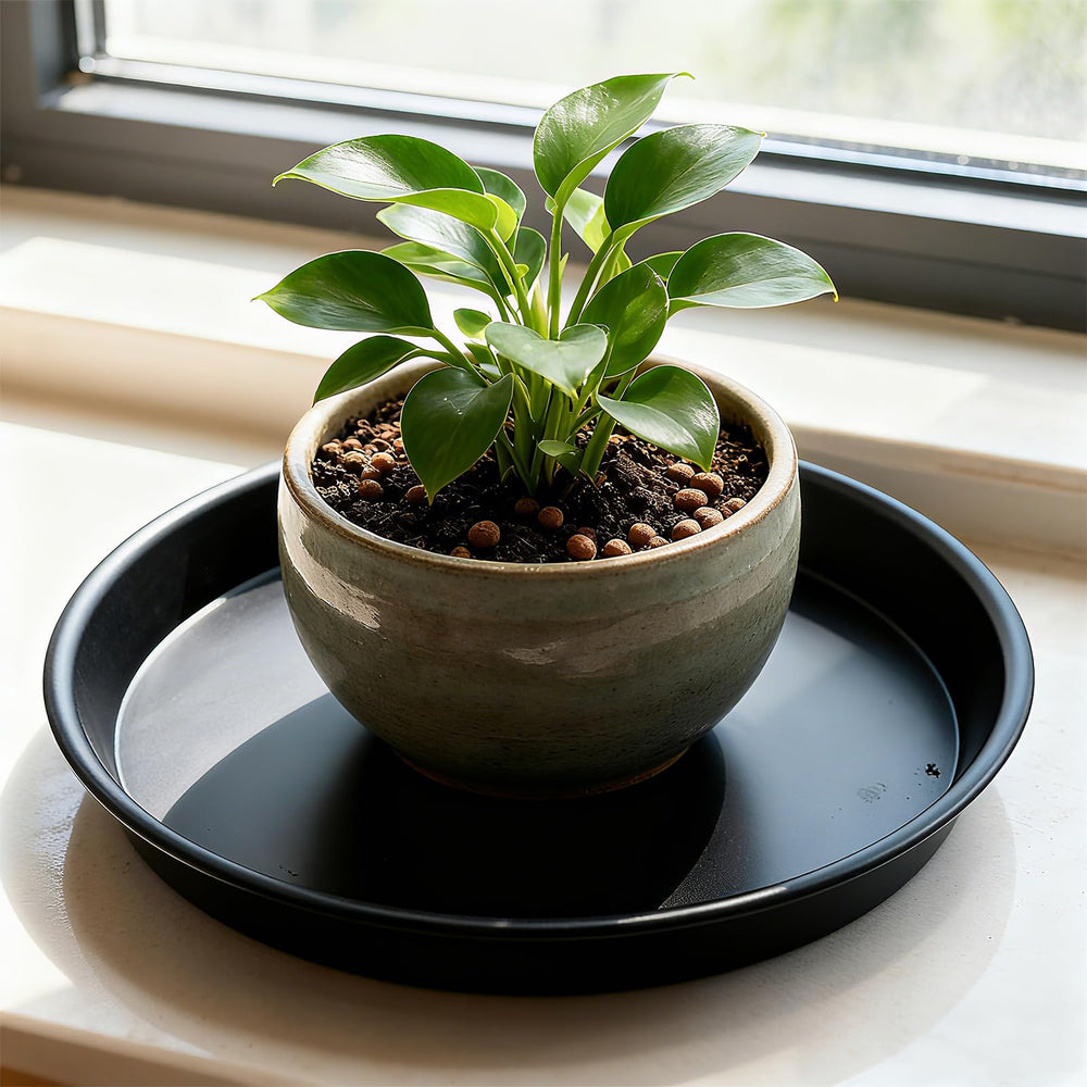 TITE saucer beside ruler showing dimensions for correct pot fit
