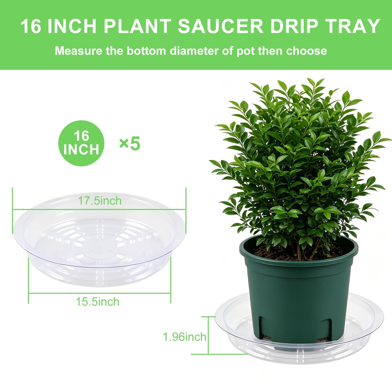 TITE saucer beside pot illustrating correct size fit guidance