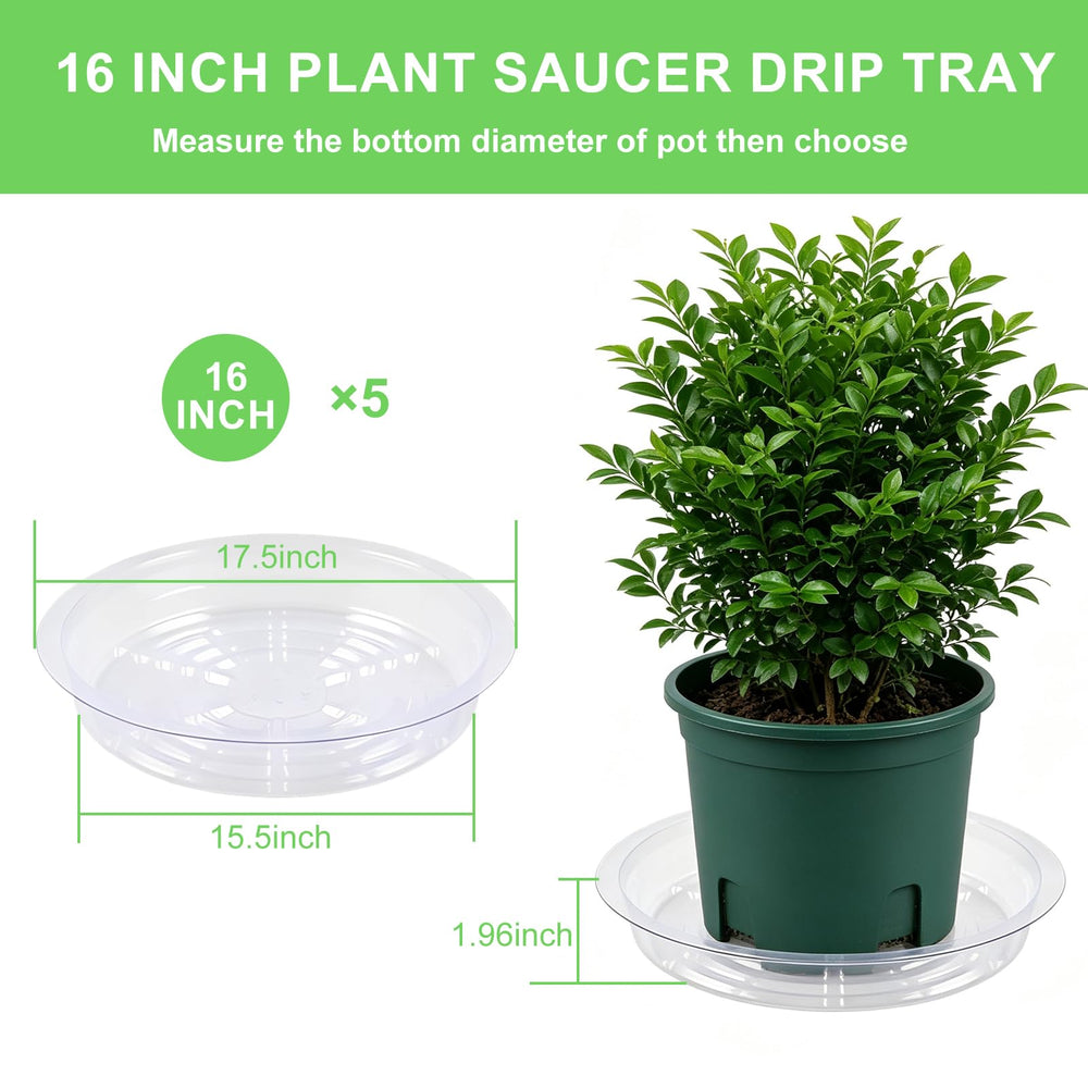 TITE saucer beside pot illustrating correct size fit guidance
