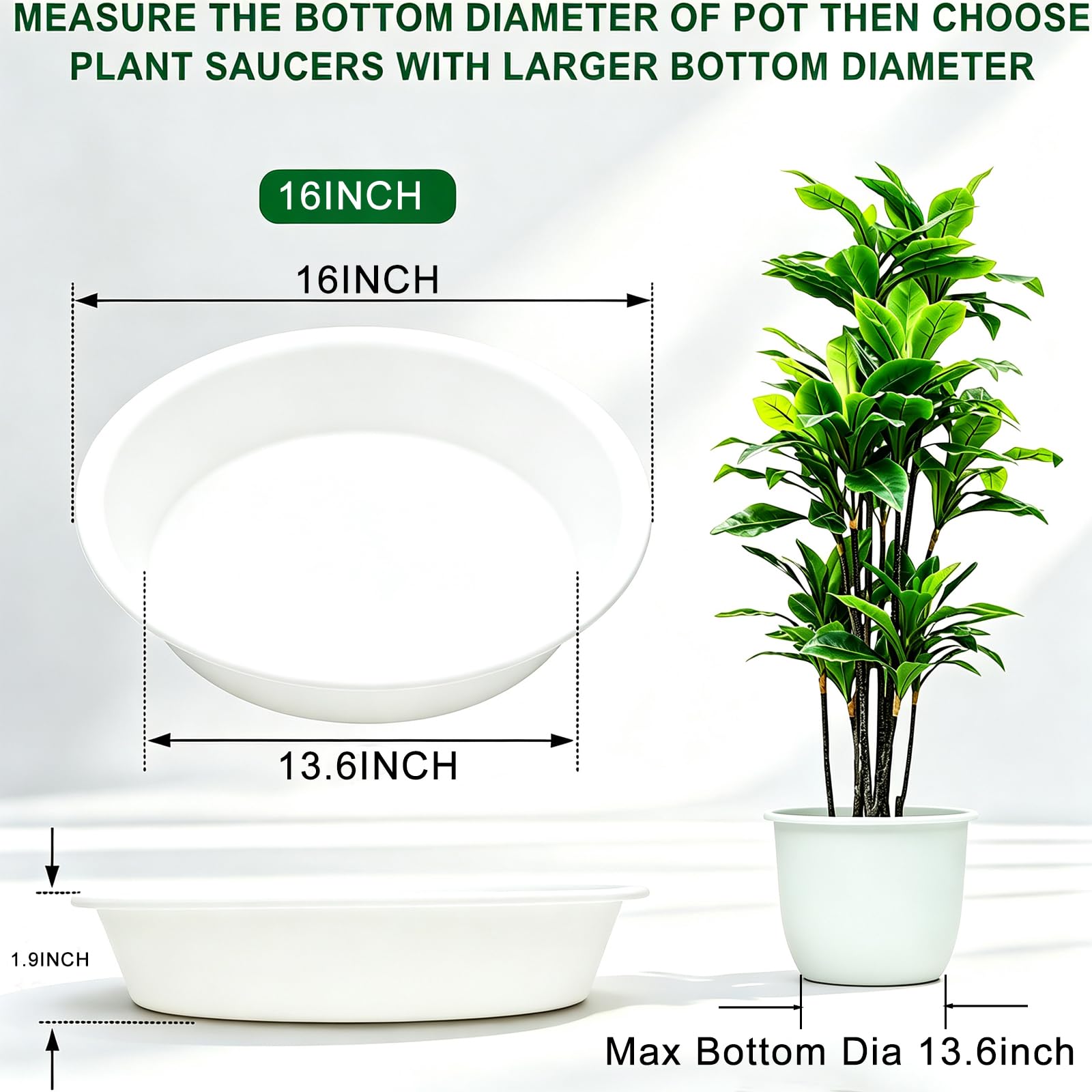 TITE side profile highlighting 1.6-inch depth and sturdy wall for secure water containment