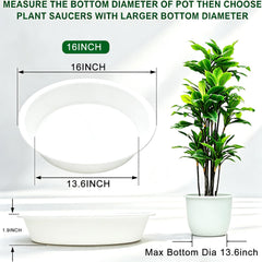 TITE side profile highlighting 1.6-inch depth and sturdy wall for secure water containment