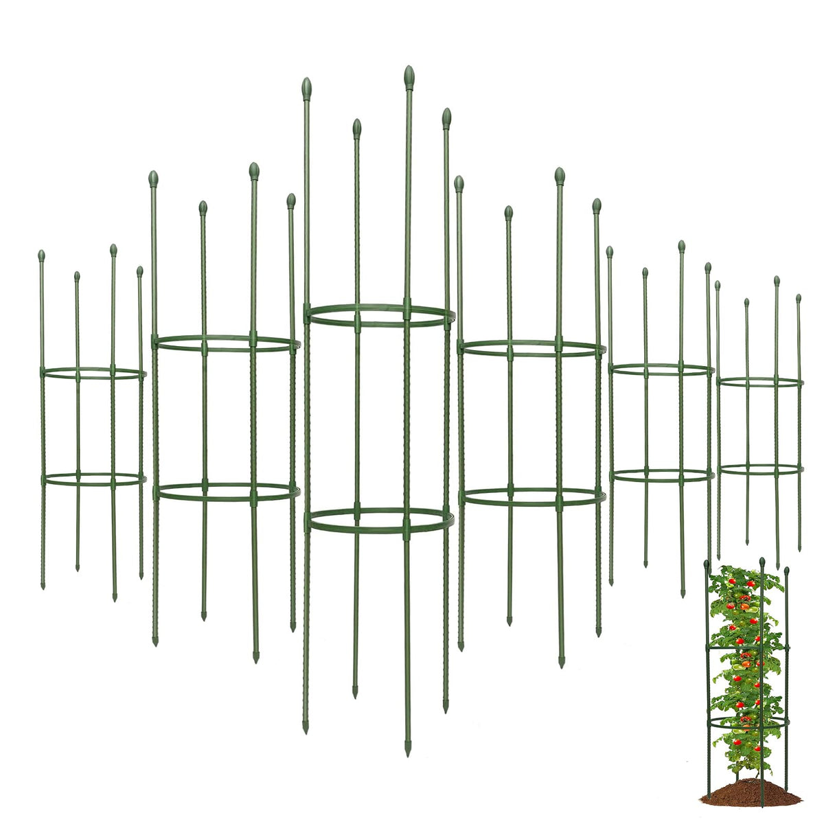 tiuire front packaging shows six-pack and durable plant support benefits