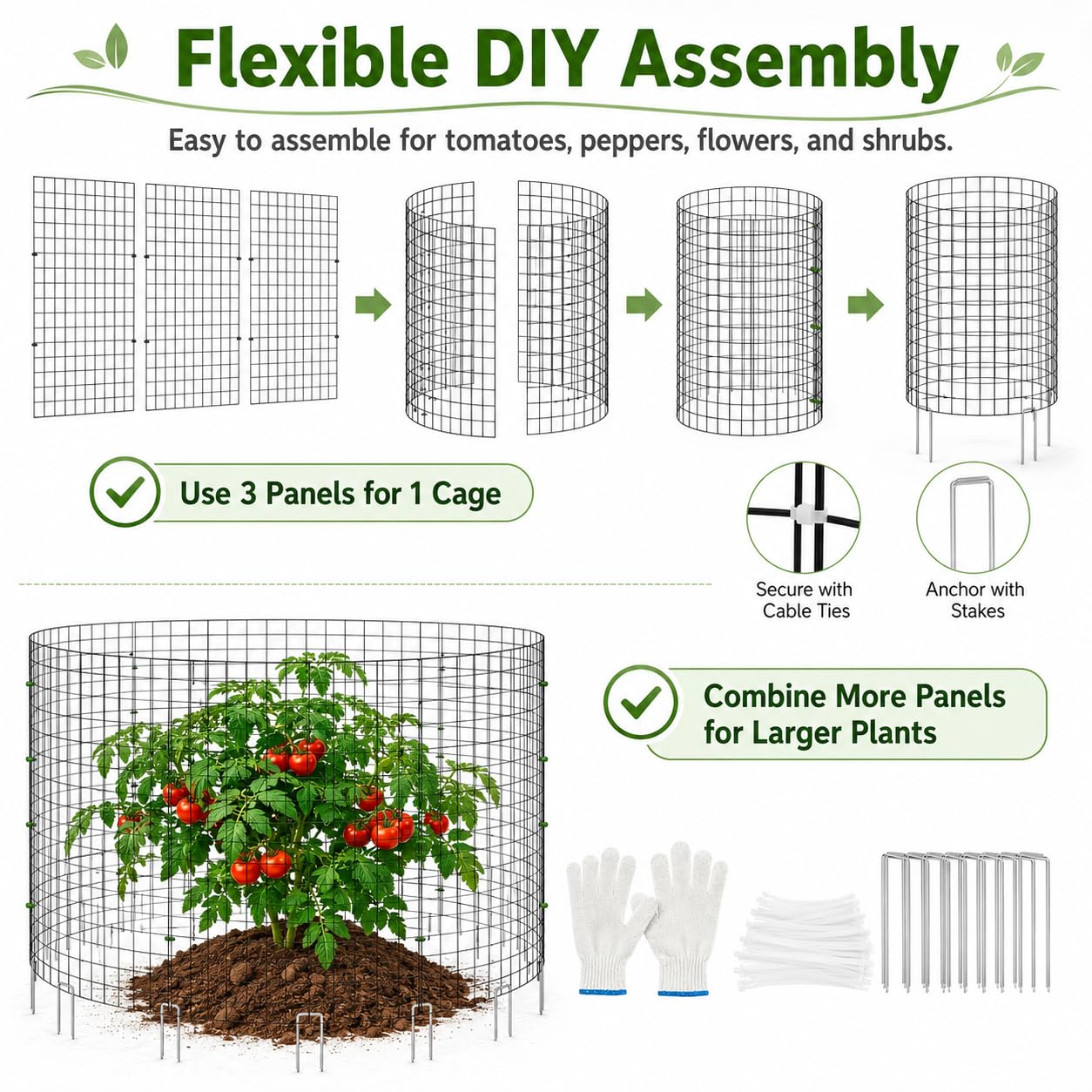 Tldcdte assembled cage around a tomato demonstrating animal protection