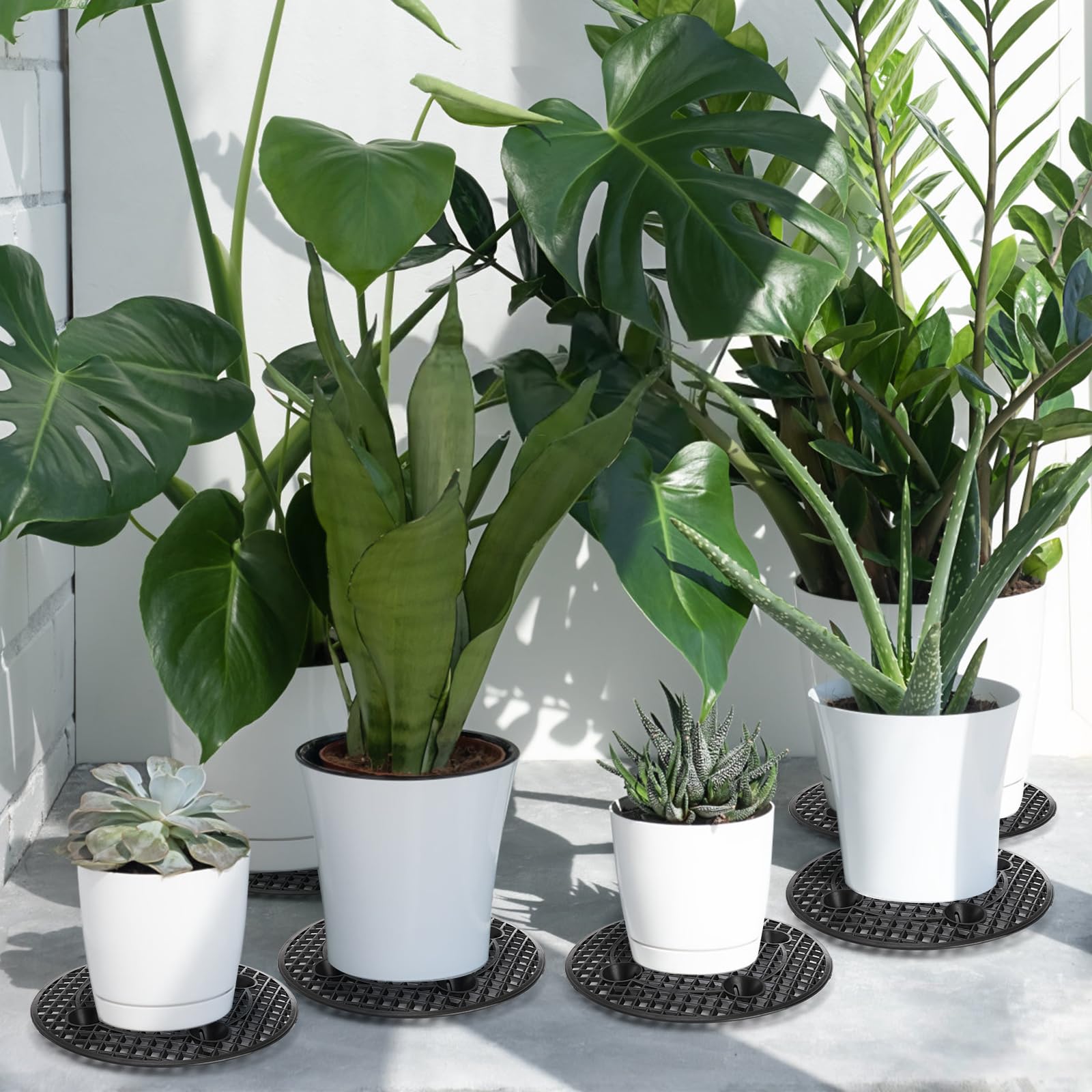 tlence living room plant on riser showcasing elevated display and floor protection