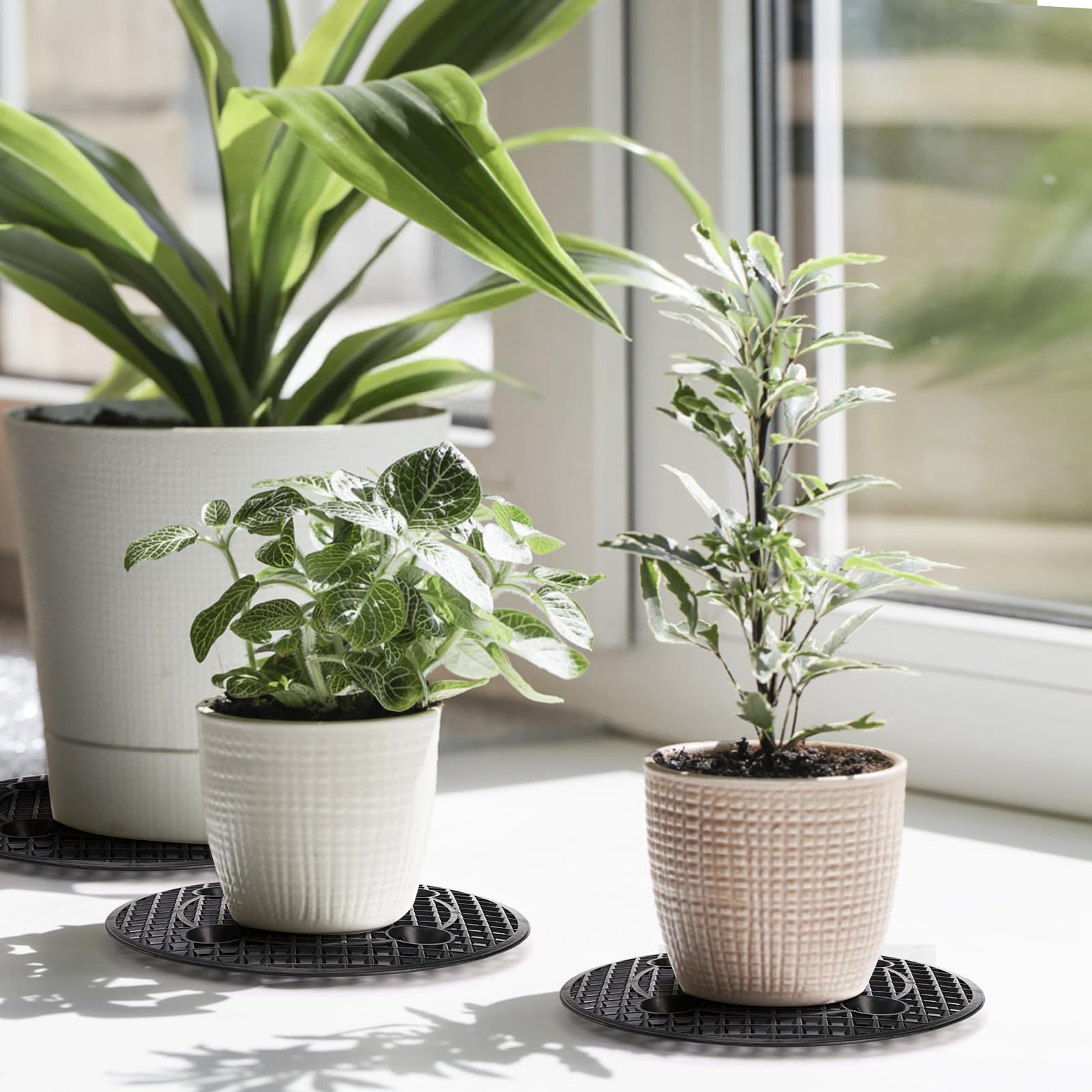 tlence riser beside a common plant pot demonstrating scale and stable support