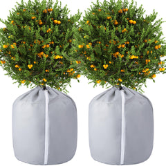 Tlswshsy front view of covered pot showing full frost protection