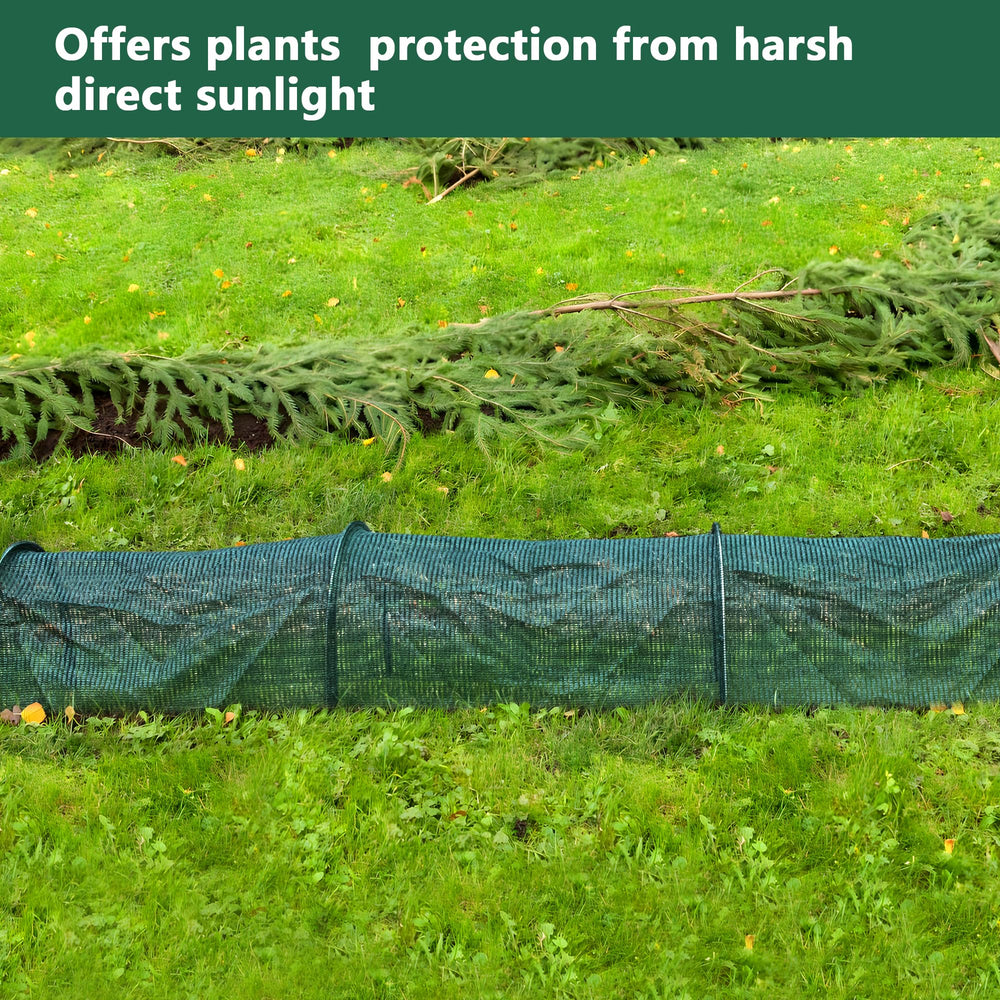 Tlswshsy tunnel installed over vegetable row, pest protection benefit