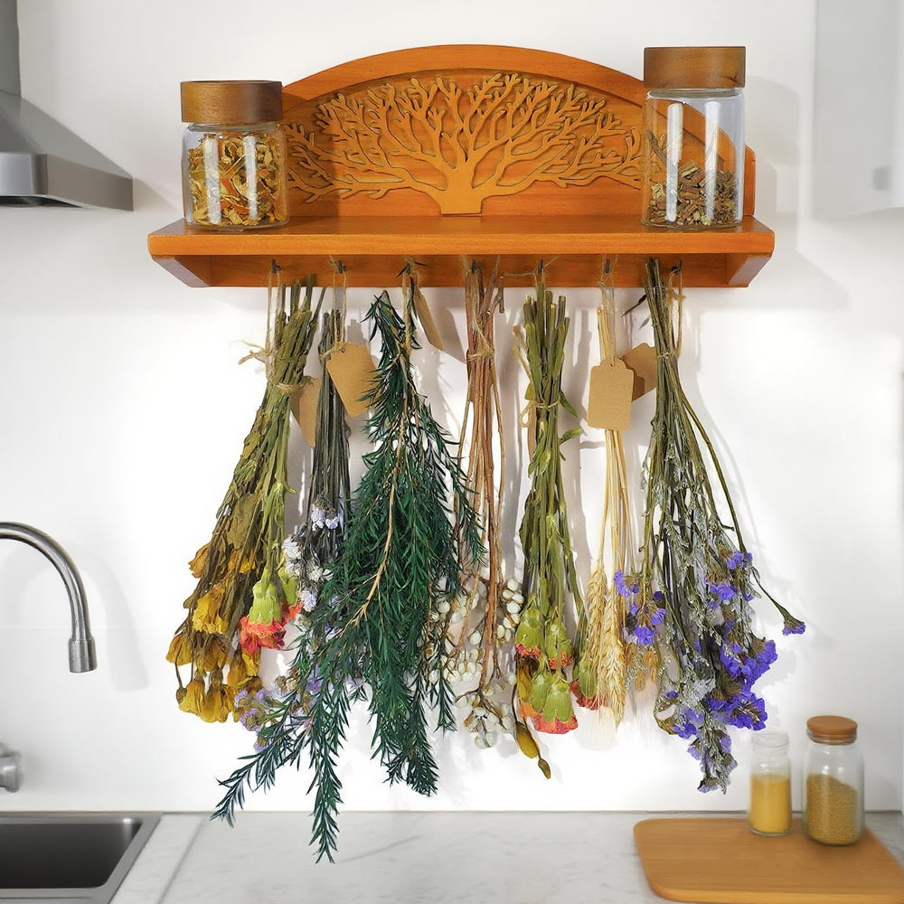 Tnstbiee top shelf holding spice jars and succulents for easy access and decor