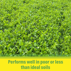 TnT Seed Company wide food-plot view demonstrating attractive forage cover