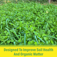 TnT Seed Company mature dense groundcover protecting soil and reducing erosion