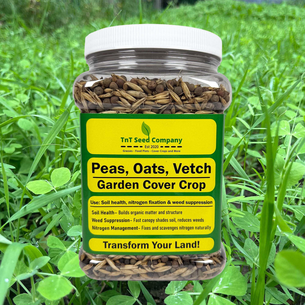 TnT Seed Company garden bed with cover crop demonstrating healthier soil prep