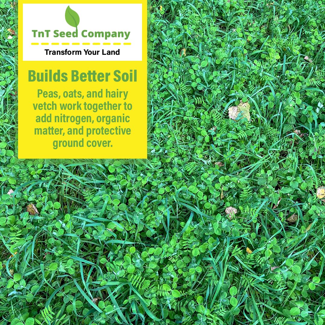 TnT Seed Company hairy vetch close-up showing nitrogen-fixing benefit