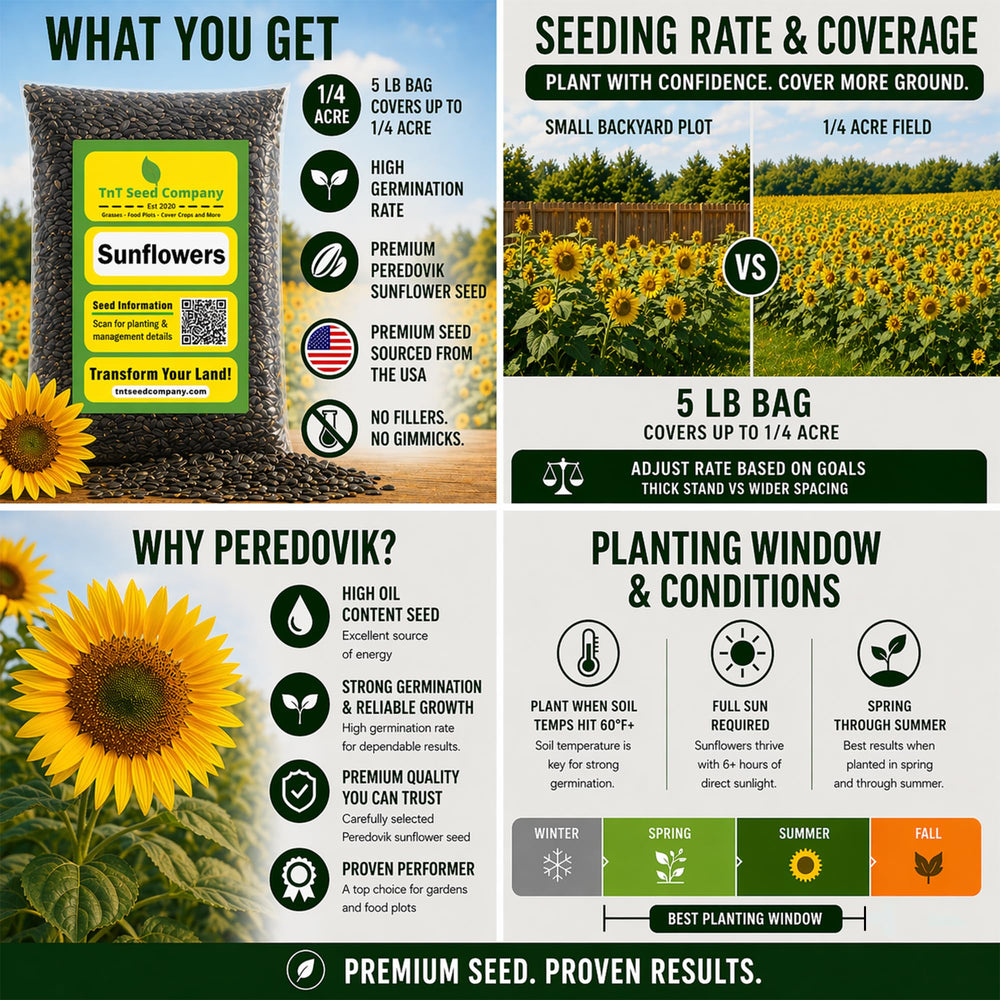 TnT Seed Company seed texture detail highlighting oil-rich, bird-attracting seeds